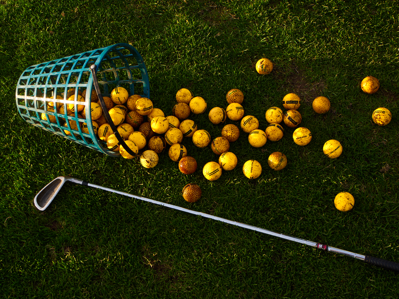A basket of yellow golf balls spilled on green grass with a golf club nearby.